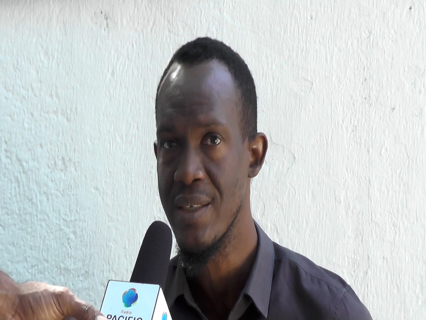 La POHDH accuse l’État haïtien d’être le premier prédateur de l’environnement